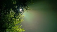 北美極端高溫天氣是因為“熱穹頂”？