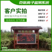 去公園吸氧，看看負氧離子在線監測儀！
